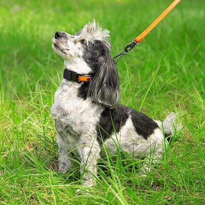 Herm Sprenger Black Stainless Steel Dog Collar with Quick Release ClicLock Buckle O-Ring Biothane Insert Training Collar Made in Germany (Hunter Orange, 16in x 2.25mm(Neck Size up to 13-14in))