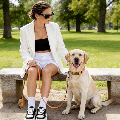 Didog Soft PU Leather Dog Collar, Stylish Quick Released Dog Collar for Large Dogs, Easy Clean Adjustable Pet Collar for Daily Walking, Light Brown, L Fit 16-22" Neck