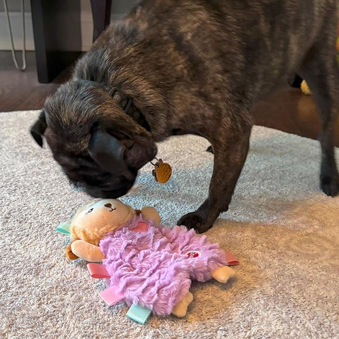 SPOT Soothers- Tabbie Lambie Dog Toy-Separation Anxiety Toys for Dogs, Stuffing Free, Scented with Calming Lavender Fragrance Beads to Safely Calm and Relax Dogs and Puppies, 8in