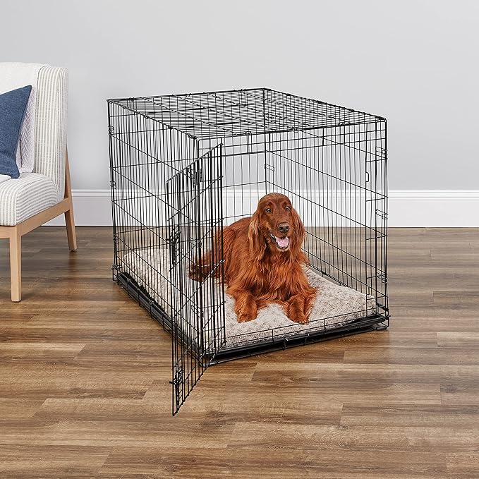 MidWest Homes for Pets 42-Inch iCrate for Large Breeds, 71-90 lbs, Single Door Folding Dog Crate with Divider Panel, Leak-Proof Tray & Secure Latch, Portable, Durable & Easy to Assemble
