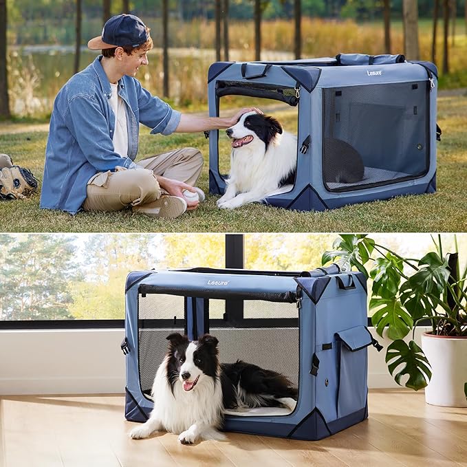 Lesure Collapsible Dog Crate - Portable Travel Kennel for Medium Dog, 4-Door Pet Crate with Mesh Windows, Indoor & Outdoor, Blue