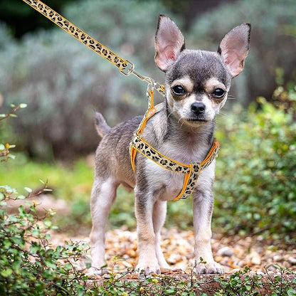 Mile High Life Leopard Dog Harness Collar Leash Set, Adjustable No Pull Dog Halter Harness for Small Breed Dogs, Easy Control for Training Walking (Yellow, M Chest 15"-21", Neck 13"-17")