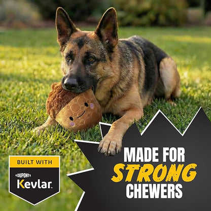 Bite Force -Durable & Strong Dog Toy Cheeky Acorn with Squeaker, Kevlar-Reinforced for Aggressive Chewers for Small Medium Large Dogs - Brown.