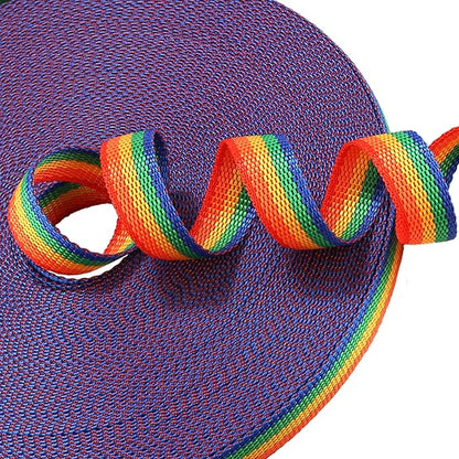Hi Kiss Dog/Puppy Obedience Recall Training Agility Lead - 15ft 20ft 30ft 50ft 100ft Training Leash - Great for Training, Play, Camping, or Backyard (100 Feet, Rainbow)