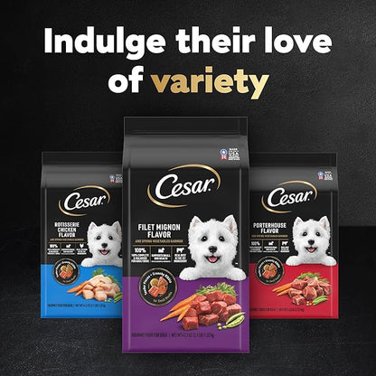 Cesar Small Breed Dry Dog Food for Small Dogs,Rotisserie Chicken Flavor and Spring Vegetables Garnish,12 lb Bag,(Pack of 2)
