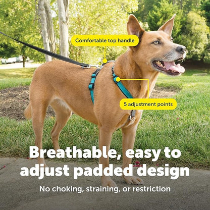 PetSafe 3-in-1 Harness - Comfortable Easy-Walk Dog Chest Harness with Front Leash Attachment to Reduce Pulling, Choking & Gagging - Dog Obedience Gear - Medium - Teal