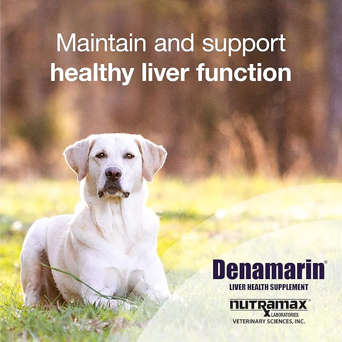 Nutramax Laboratories Denamarin for Dogs Chewable Tablets -,75 Count (Pack of 2)
