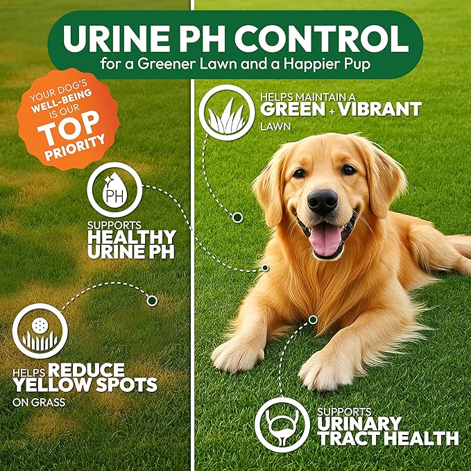 Dog Urine Neutralizer for Lawn - 170 Green Lawn Chews for Dogs - Pee Grass Burn Spot Saver Caused by Dog Urine with Probiotics & Digestive Enzymes - Advanced Gut Health Supplement, Rocks