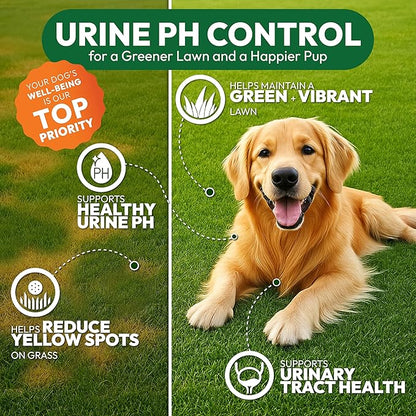 Dog Urine Neutralizer for Lawn - 170 Green Lawn Chews for Dogs - Pee Grass Burn Spot Saver Caused by Dog Urine with Probiotics & Digestive Enzymes - Advanced Gut Health Supplement, Rocks
