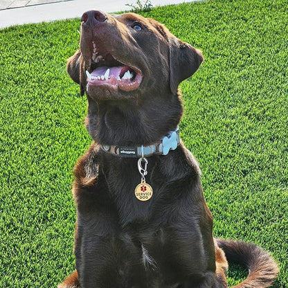 Service Dog Tag/ESA Animal Tag - Double Sided with Federal Protection & Red Medical Alert Symbol| Easily Attach to Collar, Harness, Vest | Service Dog Identification Tag