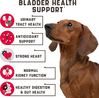 Dog UTI Treatment 120 Chews w Cranberry, Natural UTI Medicine for Dogs - Pet Supplement for Dog Urinary Tract Infection Treatment, Good for Bladder Control, Dog Incotinence, Kidney Health, Dog Breath