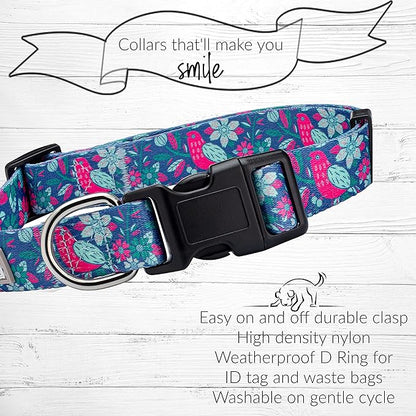 Lucky Love Dog - Adjustable Collar and Leash Set with Easy Click Buckle for Medium Dogs, Durable, & Comfortable Collar for Male & Female Dogs, Puppies & Adul t- CarrieBelle Combo, Medium