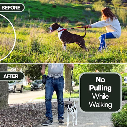 Clasp 1.5mm Stainless Steel Ultralite Dog Training Collar for Teacup Dogs | 7” Micro Prong Collar for Dogs Under 6lbs | No-Pull Collar | Dog/Puppy Training & Behavior Aid