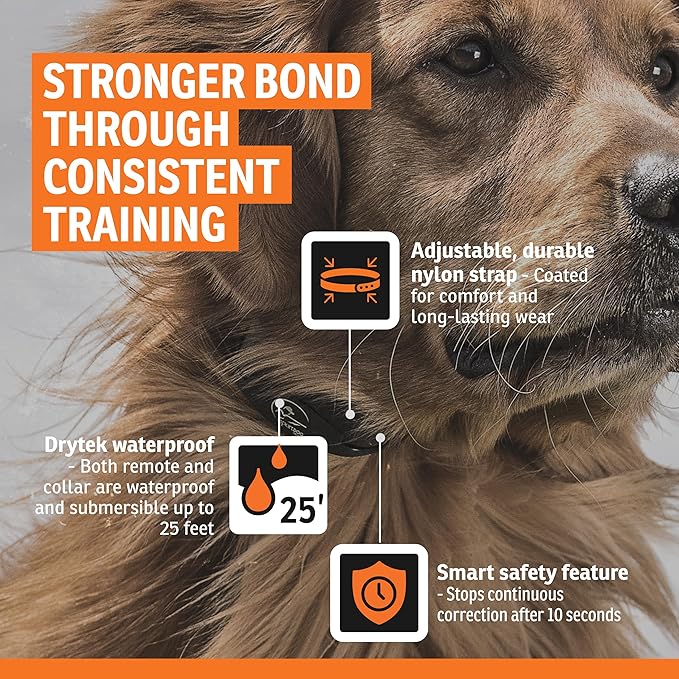 SportDOG YardTrainer 300 Remote Trainer - Off-Leash Safety Tool - Quick-Charge - Waterproof DryTek Technology - Compact E-Collar - Remote Dog Collar - 300-Yard Range