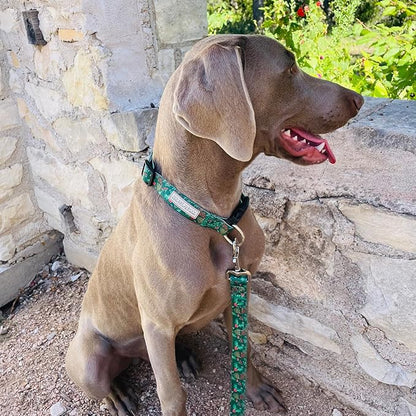 Lucky Love Dog - Adjustable Dog Collar with Easy Click Holly for Small Ones, Durable, & Comfortable for Male & Female Dogs, Pet Collar for Puppies & Adult Dogs - Holly, XS