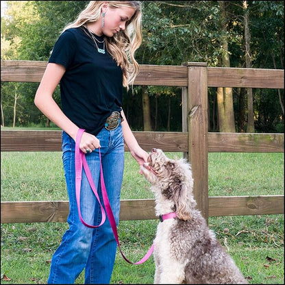 Country Brook Petz - Everyday Nylon Dog Collar for Large, Medium, and Small Dogs and Puppies - for Everyday Use in 10+ Warm Colors (Small, 3/4 Inch Wide, Rose)