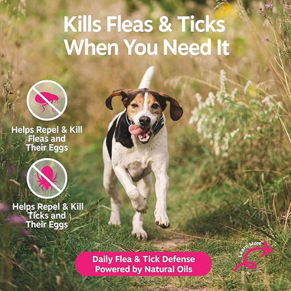 Zesty Paws Flea and Tick Spray for Dogs - Kill Fleas, Ticks & Their Eggs - Veterinarian Formulated - Soothes Itchy & Irritated Dog Skin - Cedarwood Oil, Rosemary Oil & Peppermint Oil