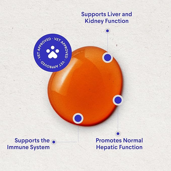 Wonder Paws Milk Thistle, Liver Support for Dogs, Supports Kidney Function for Pets, Detox, Hepatic Support, with Wild Alaskan Salmon Oil & Curcumin, Omega 3 EPA & DHA (2 Oz)