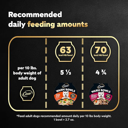 Cesar Warm Bowls Wet Dog Food Variety Pack: Chicken & Beef; and Chicken Entrees, Wet Food for Dogs, 2.7 oz Bowls, 6 Count (Pack of 2)