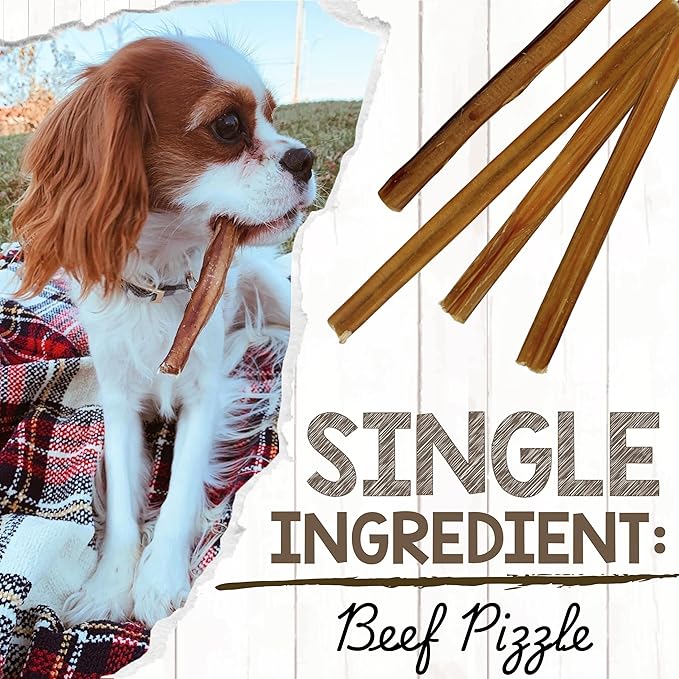 Nature Gnaws Extra Thin Bully Sticks for Small Dogs 5-6" (10 Count) - Long Lasting for Light Chewers and Puppies - Natural Beef Dog Chew Bones