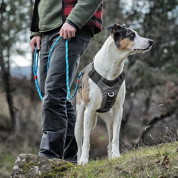 Kurgo Journey Air Dog Harness - Secure Fit for Active Dogs - Padded Chest - Lightweight Ripstop Fabric - Breathable Mesh - Reflective Trim - Back Assist Handle - Black - Medium