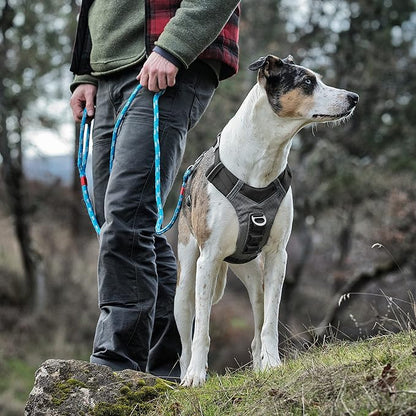 Kurgo Journey Air Dog Harness - Secure Fit for Active Dogs - Padded Chest - Lightweight Ripstop Fabric - Breathable Mesh - Reflective Trim - Back Assist Handle - Black- Small
