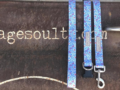Lucky Love Dog Martingale Dog Collar & Leash - Adjustable, No-Slip, Durable, Comfortable, Soft Webbing, & Stylish Patterned Collar & Leash Set for Male and Female Dogs - Winterblue Combo, Small