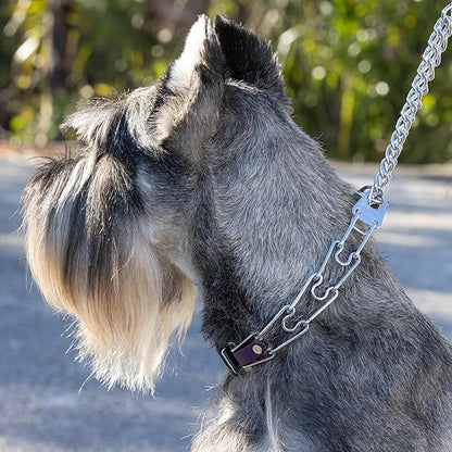 Herm Sprenger Chrome Plated Steel Dog Collar with Quick Release ClicLock Buckle and Biothane Insert Training Collar for Dogs Made in Germany (Violet Purple, 23in x 3.2mm(Neck Size up to19-20in))
