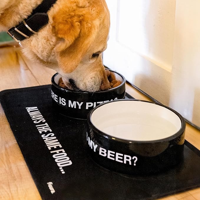 Fisura Ceramic Dog Bowl – Original Black Pet Dish Where is My Beer? – 25 oz Capacity for Small, Medium & Large Dogs – Food & Water Bowl, 6.3 x 6.3 x 2.4 in