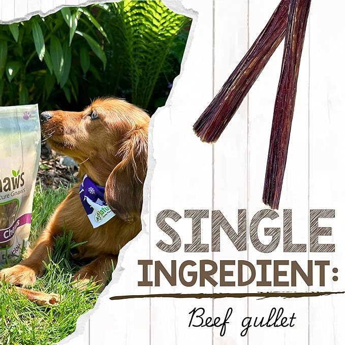 Nature Gnaws Beef Gullet Sticks for Dogs 5-6" (1Lb) - Natural Beef Jerky Stick Dog Chew Treats - Rawhide Free