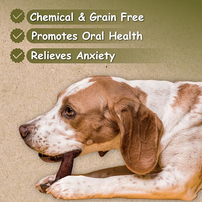 Top Dog Chews - Thick 6 Inch Bully Sticks, 100% Natural Beef, Free Range, Grass Fed, High Protein, Supports Dental Health & Easily Digestible, Dog Treat, (6", 12 Pack)