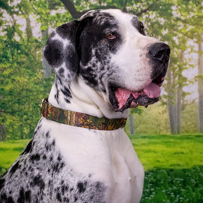 Country Brook Petz - Southern Forest Camo Martingale Dog Collar and Leash - Camouflage Collection Featuring Rugged Designs (1 Inch, Medium)