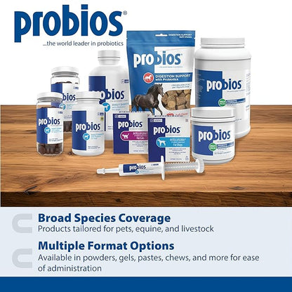 Probios for Dogs Soft Chews, Probiotics for Dogs, Daily Supplement for Gut Health, Digestion & Immune Support, Small Breeds, 4.23oz