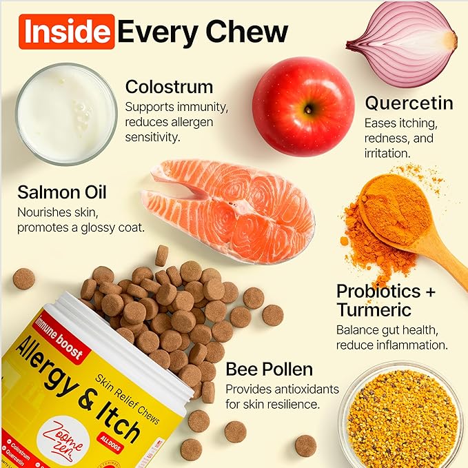 Dog Allergy Chews – Dog Allergy Relief, Itch Relief for Dogs – Anti Itch, Allergies & Immune Chews for Dogs with Omega 3 Fish Oil, Colostrum & Probiotics – 170 Count, Made in USA