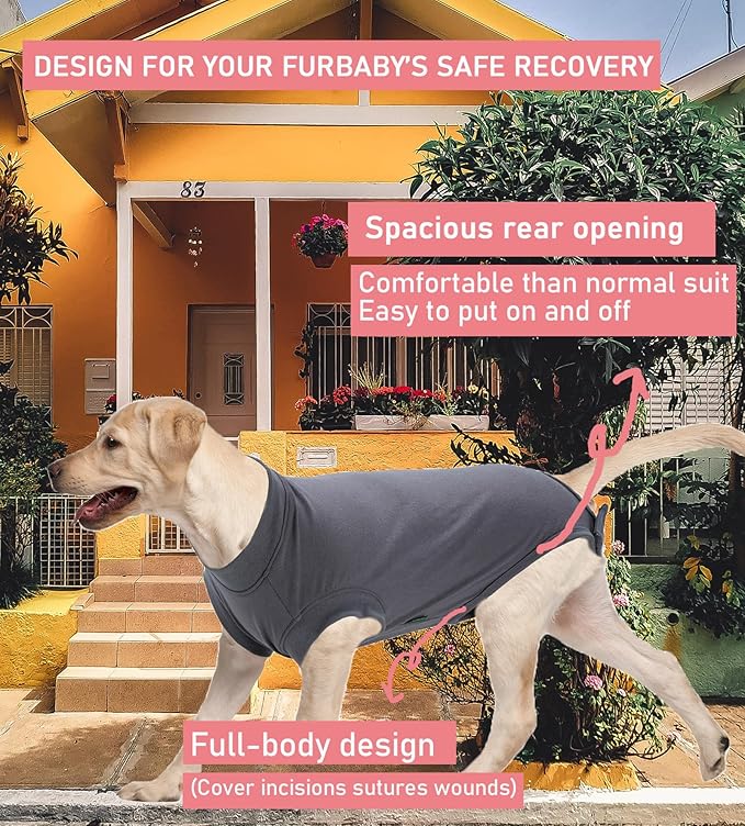 Dog Surgery Recovery Suit, Recovery Suit for Dogs Male Female Spay & Neuter, Anti-Licking Surgical Onesie for Dogs After Surgery Wear, Dog Cone Alternative (Blank Grey, XL)