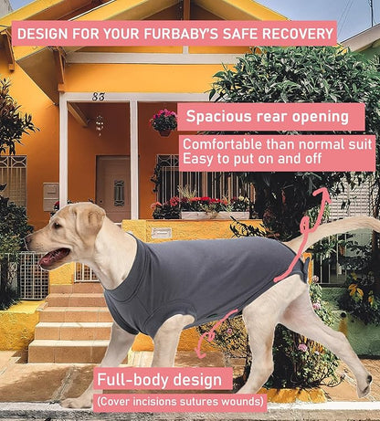 Dog Surgery Recovery Suit, Recovery Suit for Dogs Male Female Spay & Neuter, Anti-Licking Surgical Onesie for Dogs After Surgery Wear, Dog Cone Alternative (Blank Grey, XL)