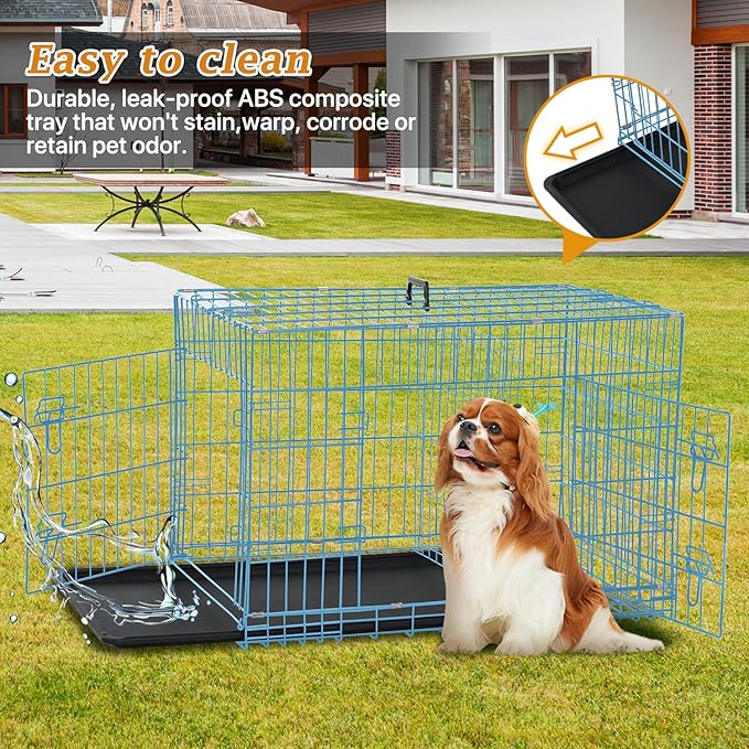 Folding Dog Crate 36" Metal Portable Outdoor Double Door Wire Large Cat Pet Dog Cage Kennel with ABS Tray LC & Divider, Blue