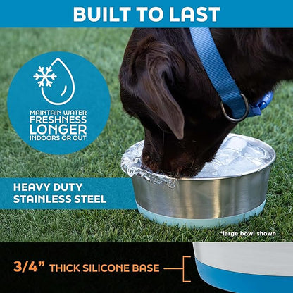 Master Pet Supply Stainless Steel Dog Bowls Set of 2 with Extra Thick Silicone Base - 4 Cup (32 oz) Mango Tango, Non-Slip, Dishwasher Safe Metal Bowls, Pet Dog Food Bowl for Dogs, Cats, Anti Rust