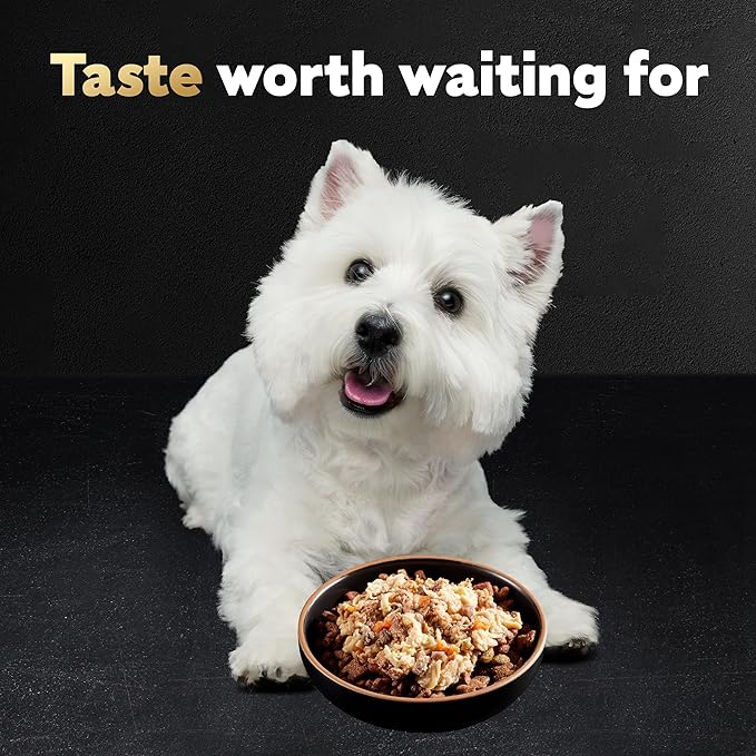 Cesar Wholesome Bowls Adult Wet Dog Food, Beef, Chicken, Purple Potatoes & Carrots, Wet Food for Dogs, 3 Oz. Bowls, 10 Count