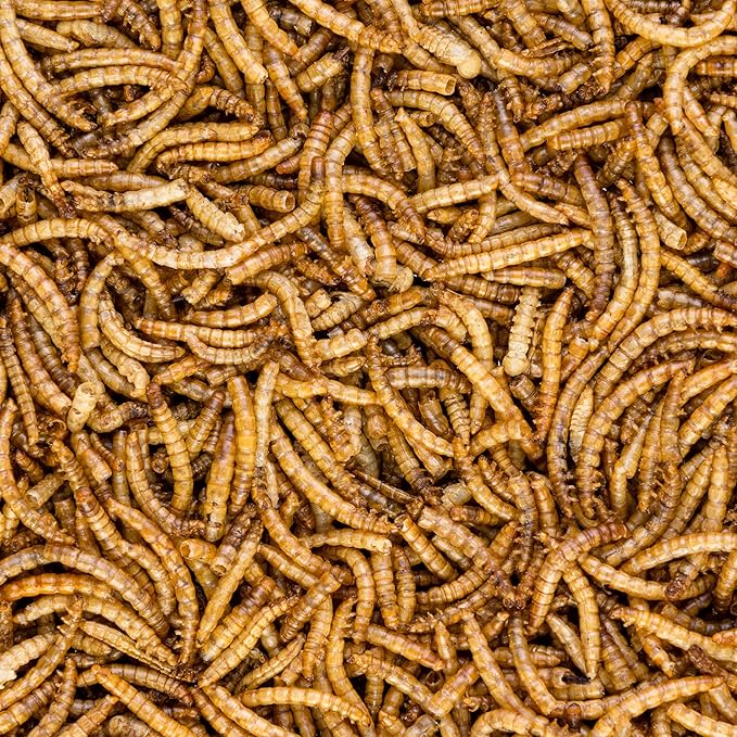 Worm Nerd WN60 5LB Dried Mealworms Non-GMO High Protein and Fiber Treat for Chickens, Birds, Reptiles, Amphibians, Fish
