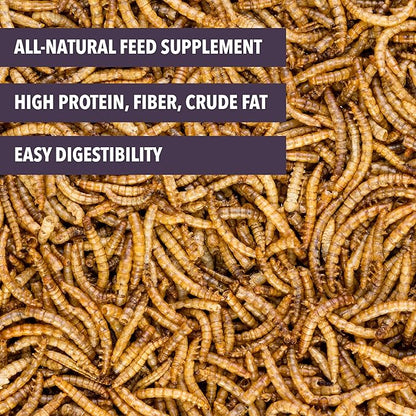 Worm Nerd WN61 Dried Mealworms Non-GMO High Protein and Fiber Treat for Chickens, Birds, Reptiles, Amphibians, Fish 10 lbs