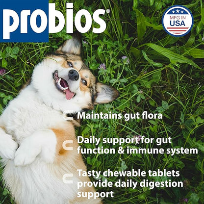 Probios Chewable Tablets for Dogs, Daily Probiotic Supplment for Gut Health, Digestion & Immune Support, 45 Count (Pack of 2)