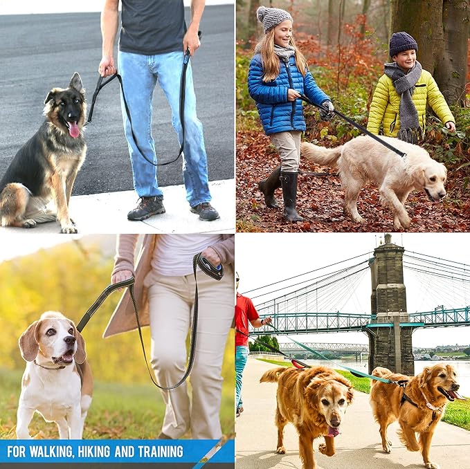 Dog Leash Heavy Duty - 2 Handles by Padded Traffic Handle for Extra Control, 6foot Long - Perfect for Medium to Large Dogs (6 ft, Black Blue)