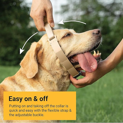 SVD.PET Dog Prong Collar for No-Pull Training, Quick-Release Buckle Adjustable Pinch Collar for Medium Dogs (Tan, Medium Size)