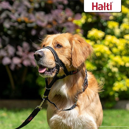 Halti Headcollar Size 3, Black & Halti Training Leash Size Large, Black Combination Pack - Stop Your Dog Pulling on the Leash. Adjustable, Lightweight with Padded Nose Band. Suitable for Medium Dogs