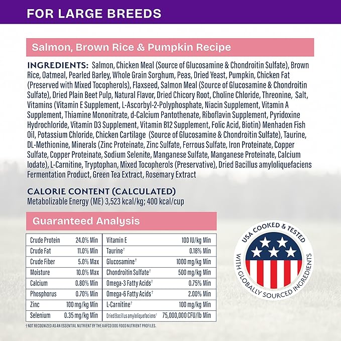 Natural Balance Health Protection Large Breed Dry Dog Food – Whole Body Health, Easy on Digestion Dog Food Made with Salmon, Brown Rice & Pumpkin for Dogs - 26lbs