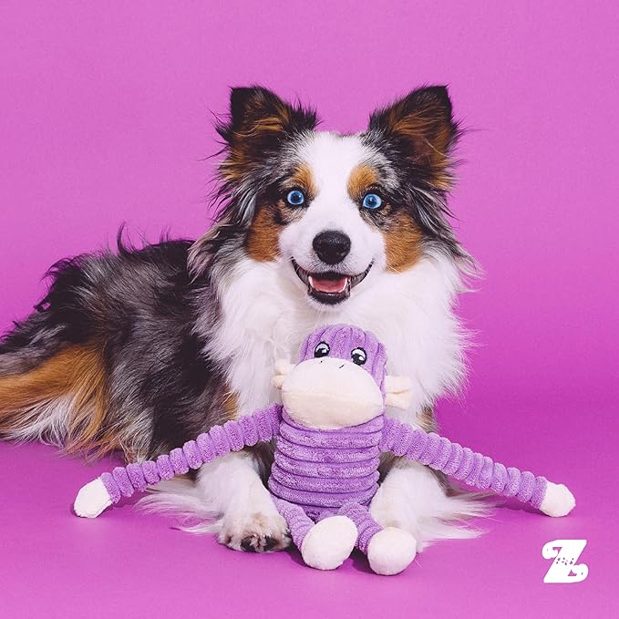 ZippyPaws Crinkle Monkey - Interactive Dog Toys to Keep Them Busy, Squeaky Plush Pet Toy for All Breeds, Small and Medium Dogs, Contains 1 Round Squeaker - Small, Purple