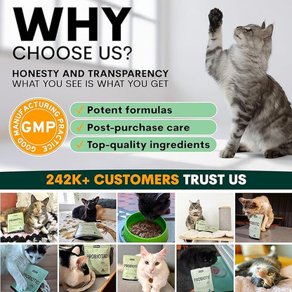 Petz Park Probiotics for Cats 60 Scoops, Cat Probiotic Powder for Hairball and Digestive Support, Gut Health Supplement for Cats and Kittens, Cat Food Topper Made in Australia
