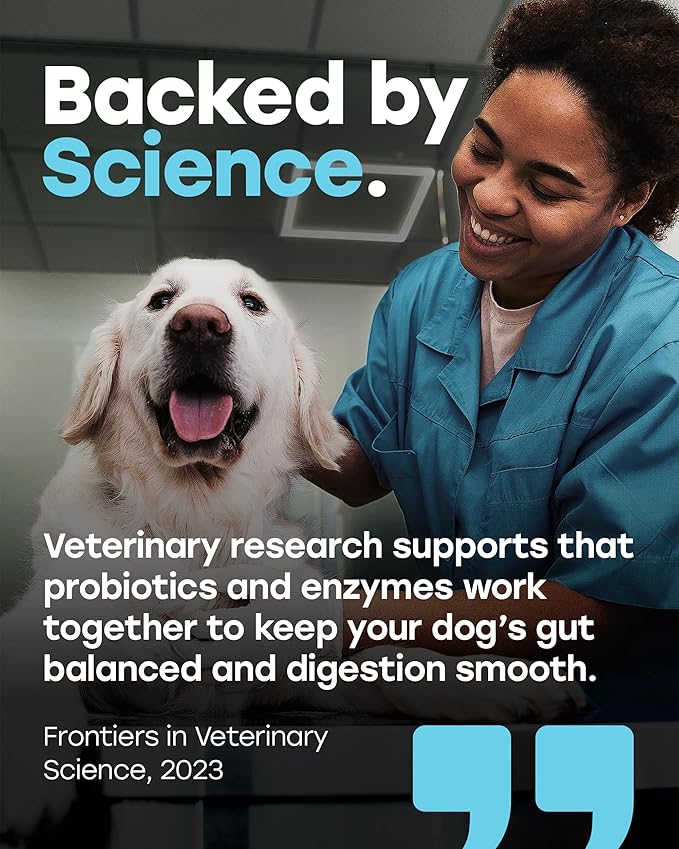 Probiotics for Dogs – Gut Health Support for Less Gas, Better Digestion & Regular Stools – Soft Beef Chews with Digestive Enzymes, Prebiotics & Fiber – 140 Count