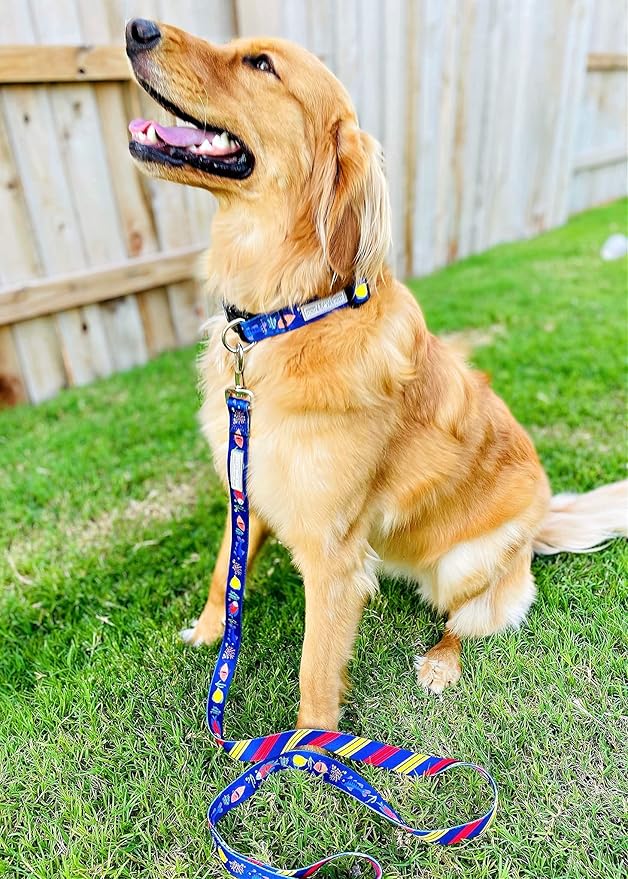 Lucky Love Dog - Easy Click Buckle Dog Collar with Leash Set Combo, Durable & Comfortable for Male & Female Dogs, Pet Collar for Small Dogs, Secure Fit - Mackey Combo, XS